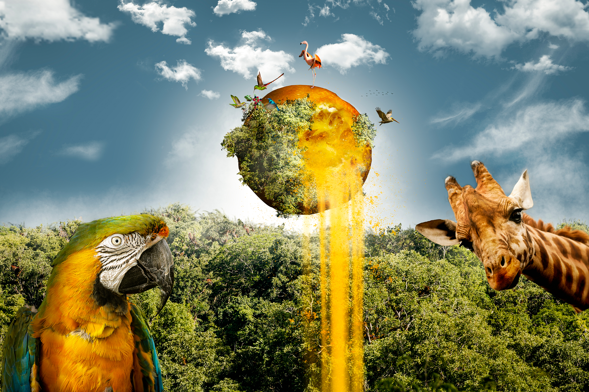 34 – Mandarinenfall